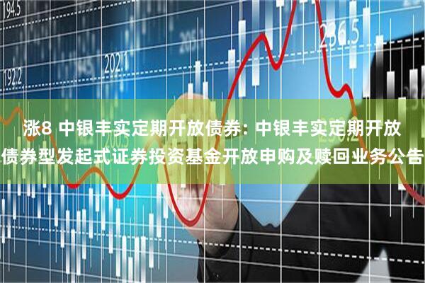 涨8 中银丰实定期开放债券: 中银丰实定期开放债券型发起式证券投资基金开放申购及赎回业务公告