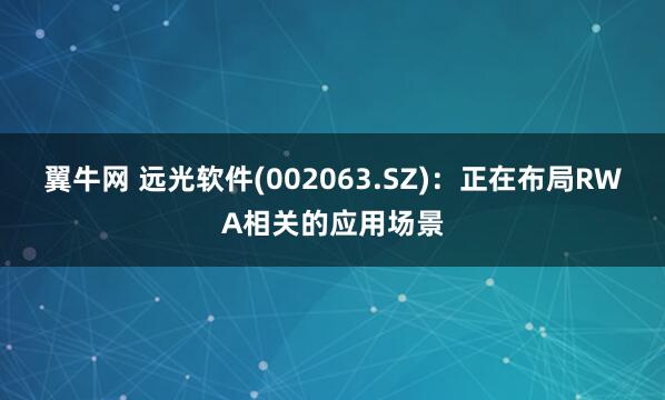翼牛网 远光软件(002063.SZ)：正在布局RWA相关的应用场景