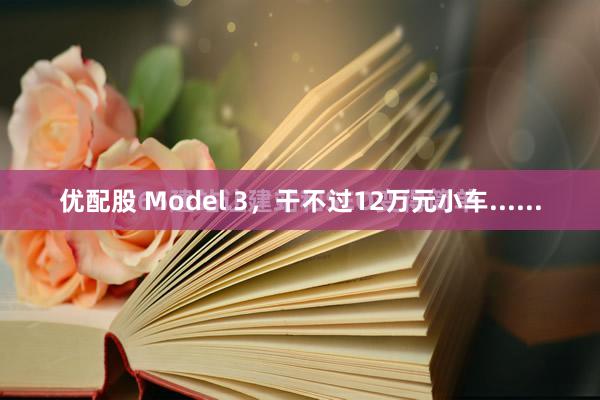 优配股 Model 3，干不过12万元小车......